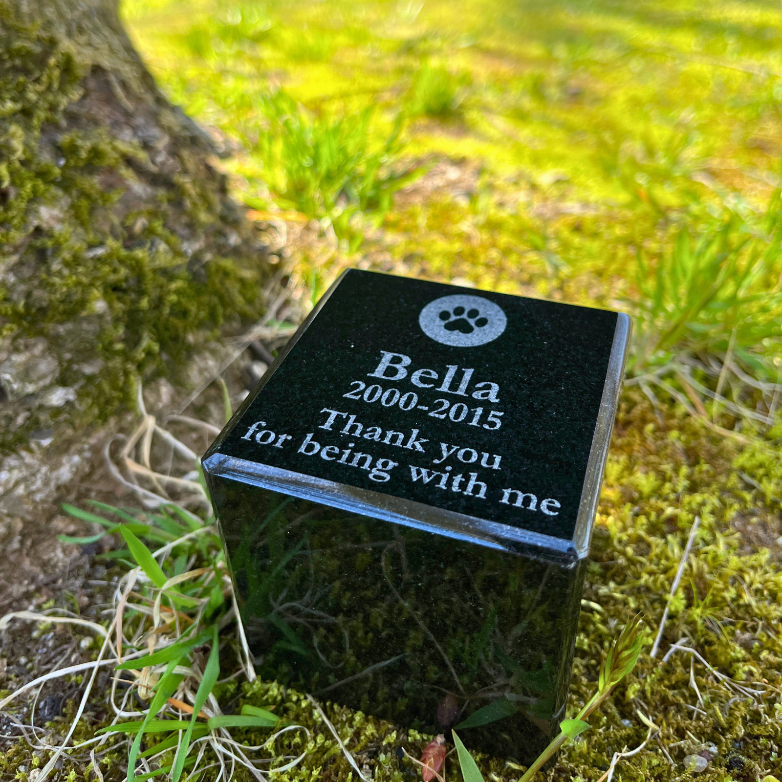 [Made in Japan · Pet Memorial Stone] Type TSP | Natural Black Granite