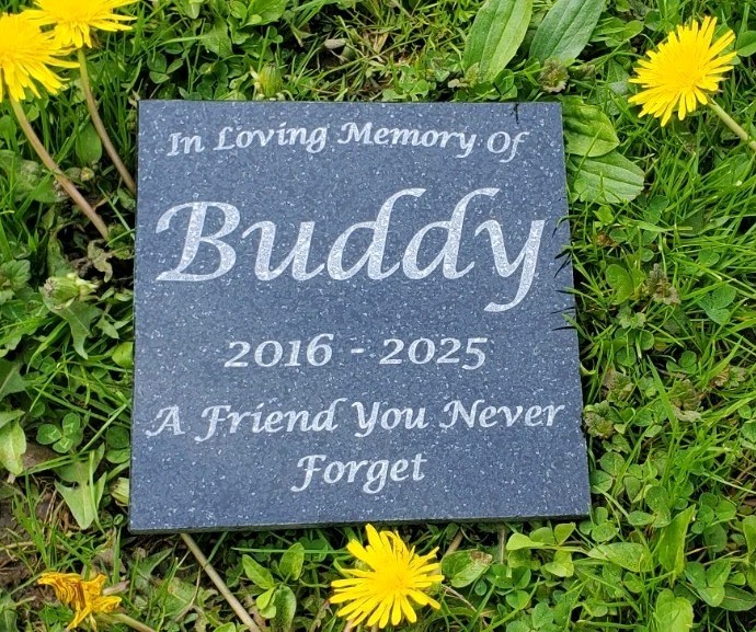 Pet Memorial Granite Stone Engraved Grave Marker Headstone Garden Plaque d6
