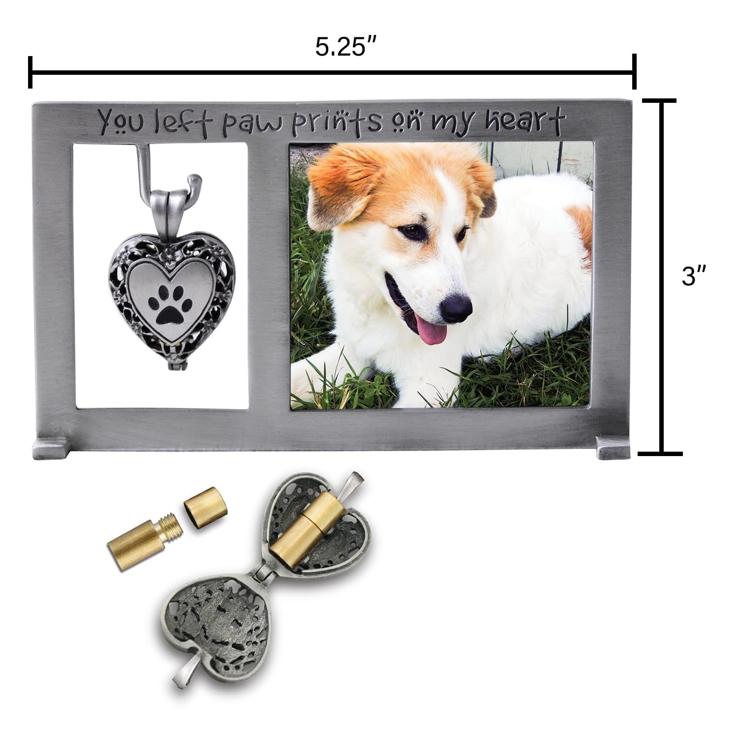 Cathedral Art Paw Prints on My Heart Pet Memorial Picture Frame, 2.25-inch by…