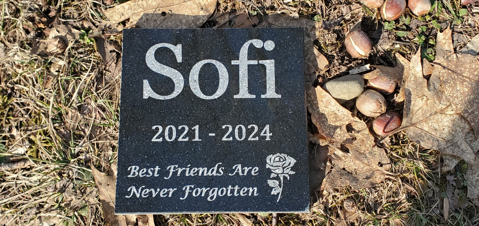 Pet Memorial Grave Marker Garden Stone Headstone 6×6 Granite Cemetary Plaque d4