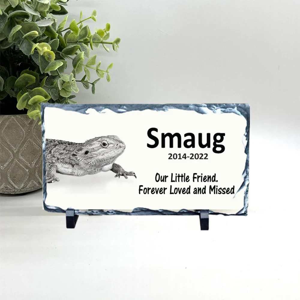 Iguana Memorial – Personalized Pet Memorial Stone – Iguana Loss sympathy Gift