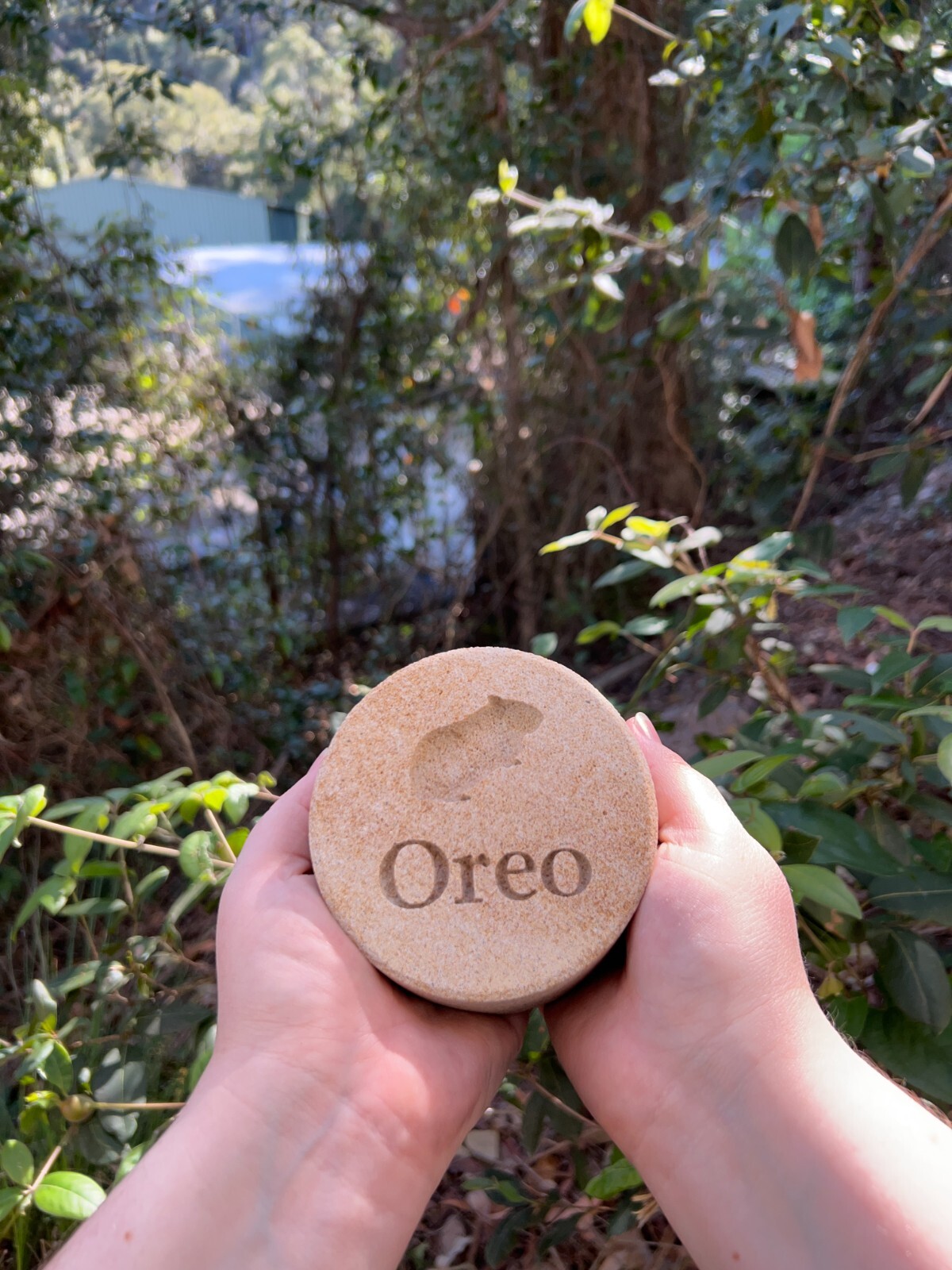 Memorial Guinea Pig Keepsake – Sandstone – Personalised