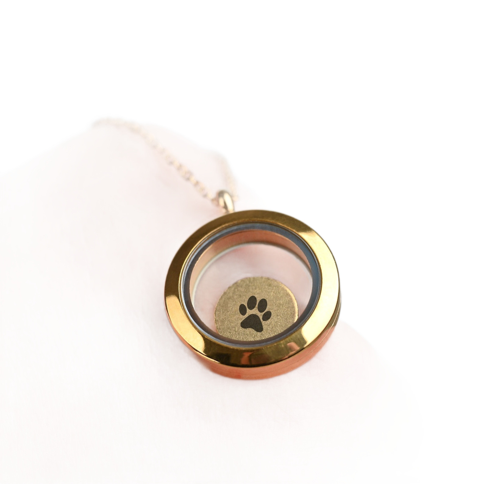 Pet Ash Urn Necklace, Paw Print Memorial Locket for Dog Cat Hair Eternal Love