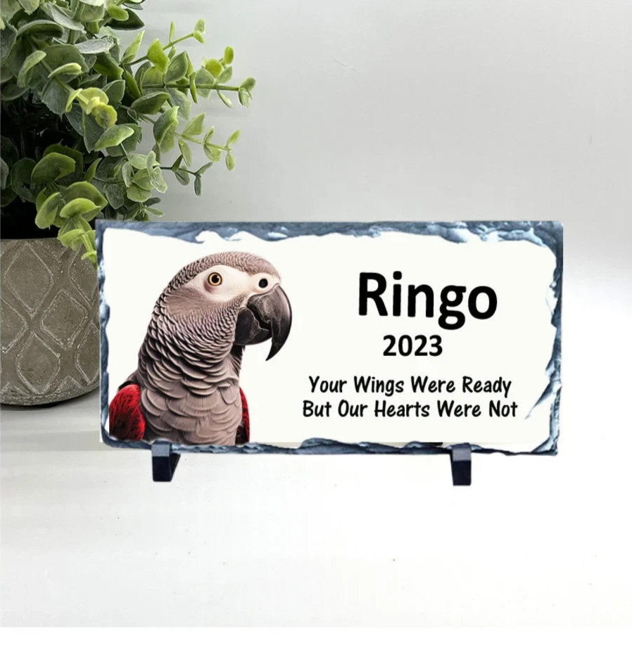 African Grey Memorial – Personalized Pet Memorial Stone -Bird Loss sympathy Gift