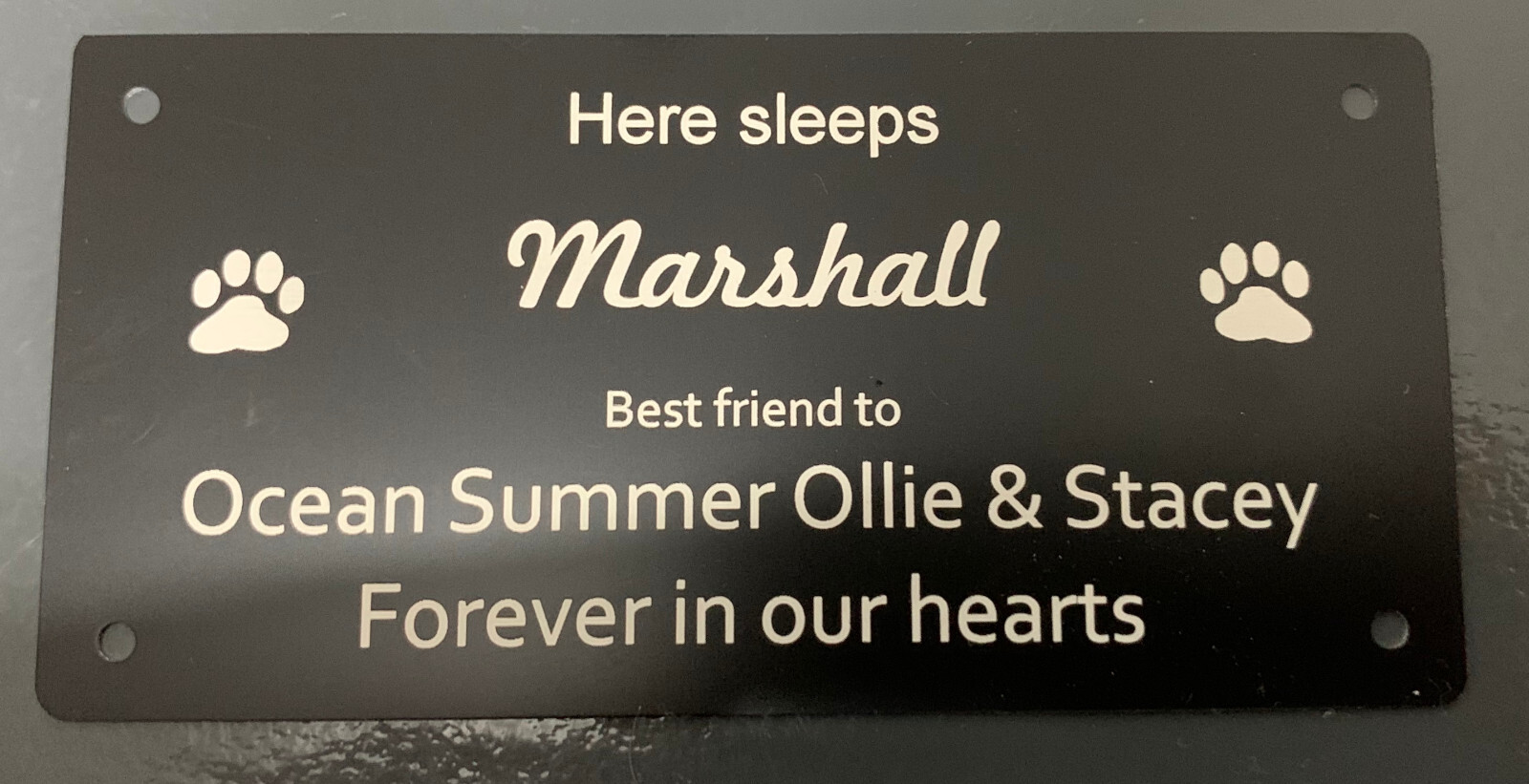 Pet Memorial Plaque (Durablack)