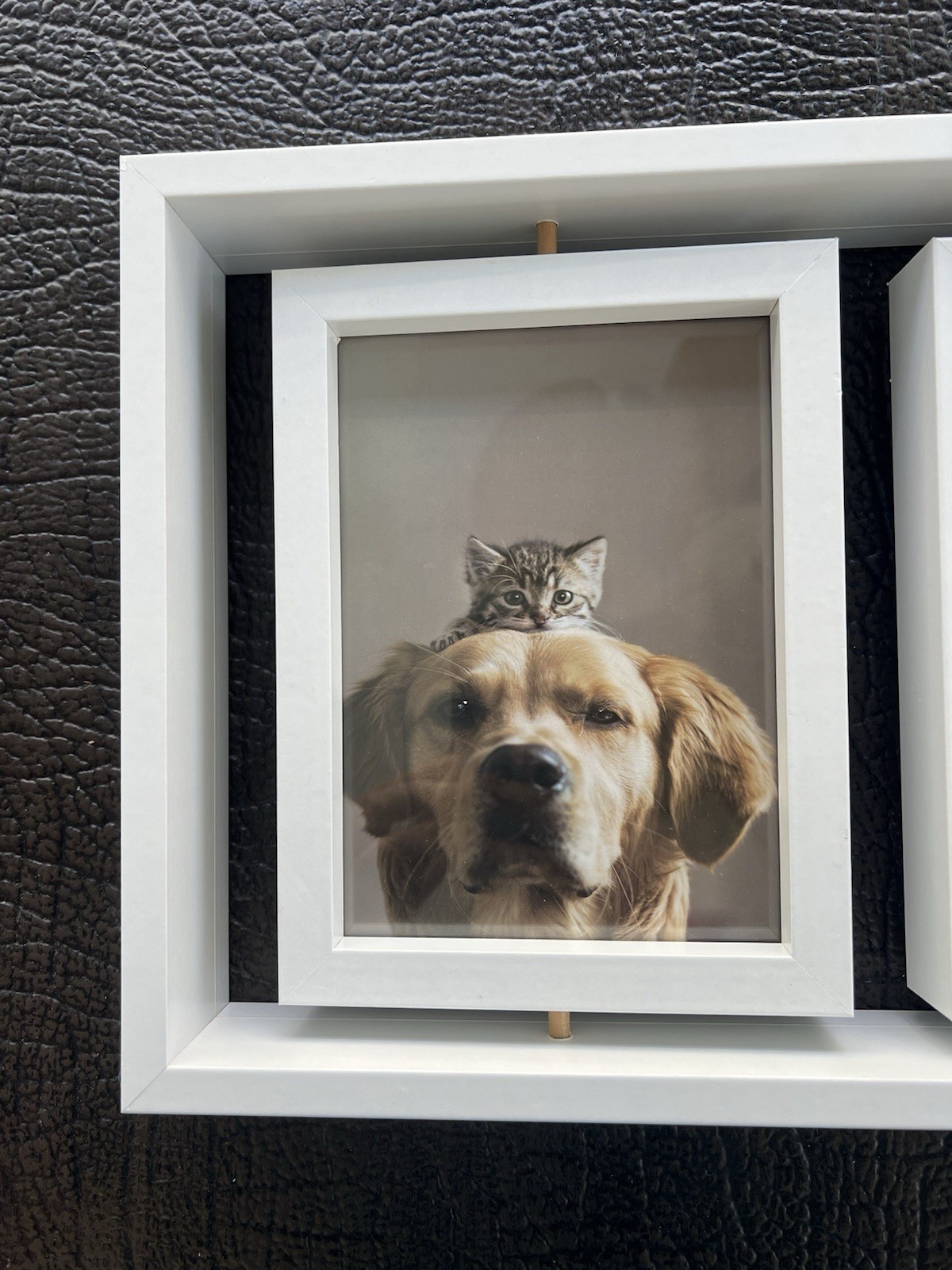 Pet Paw Print Keepsake Frame Kit 5×7 Photo Clay Impression Dog Cat Memorial NEW