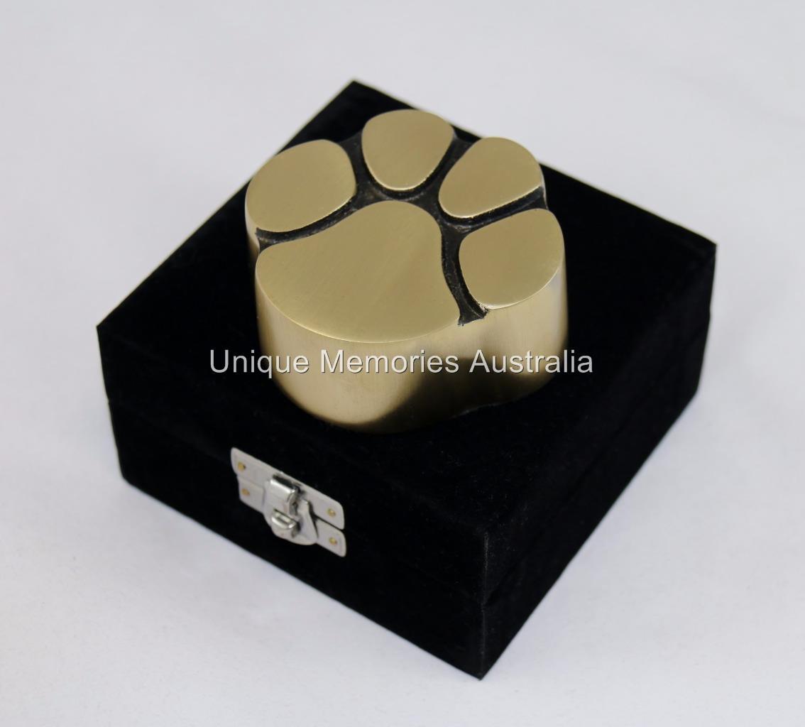 Solid Brass Bronze Cat & Dog Pet Paw Print Keepsake Cremation Funeral Urn + Case
