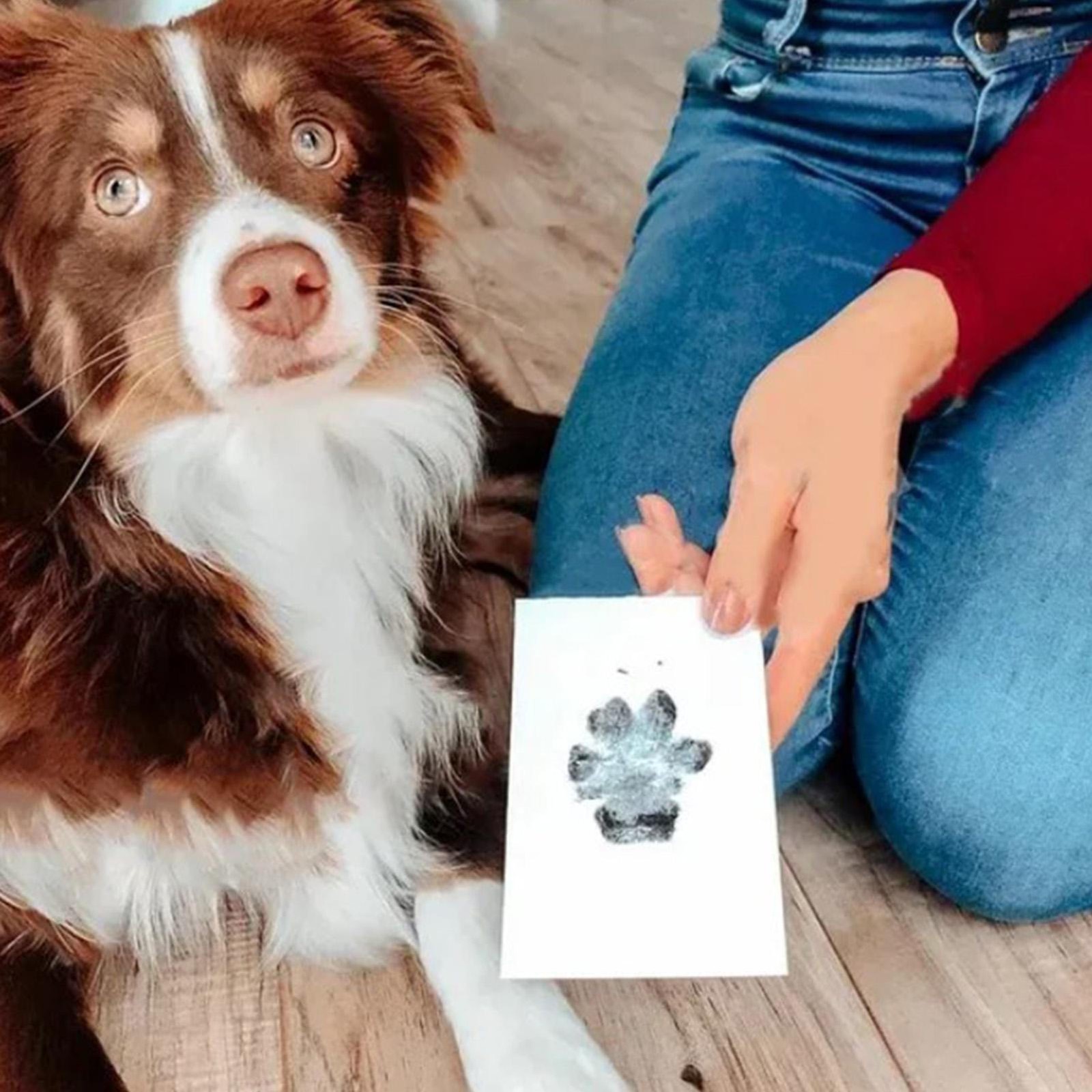 Pet Paw Print Kit – Paw Print Pad – Non Toxic Ink Pad for Pets – Cats and Dogs