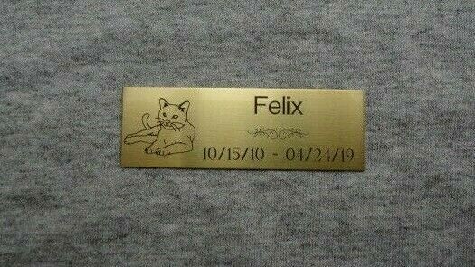1×3 Custom Engraved Cat Memorial, Brass Plate Plaque, Pet