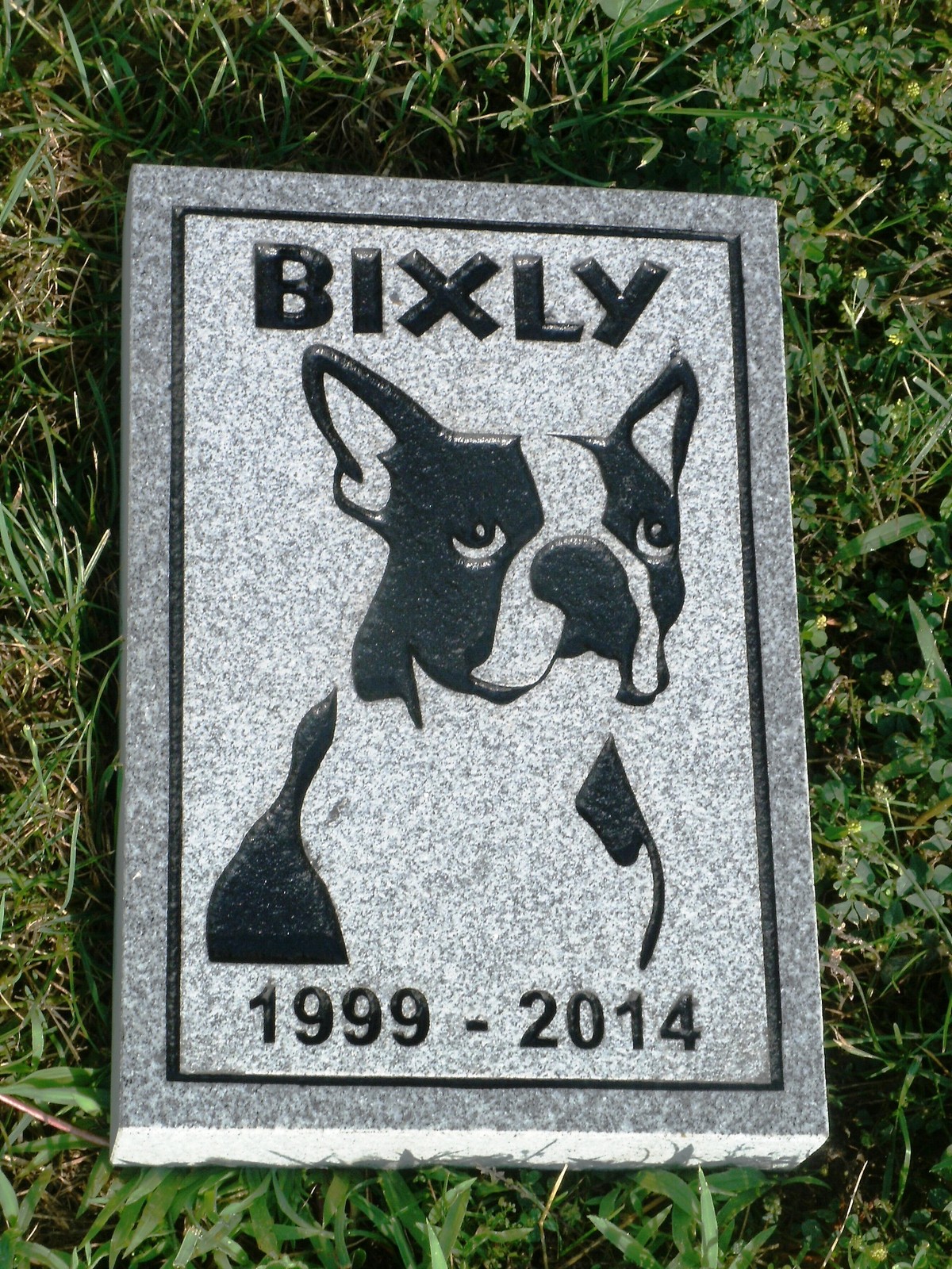 pet memorial head stone 12 x 8″ custom engraved free shipping 2″ thick granite