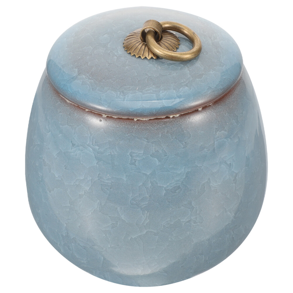 Pet Urns for Cats Blue Mini Keepsake Sympathy Ashes Storage