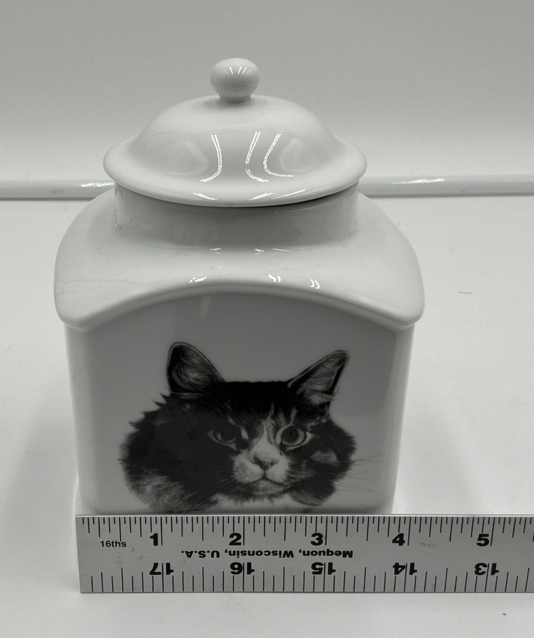 Rosalinde Rainbow Bridge Cat Urn Porcelain Pet Memorial Keepsake Jar USA