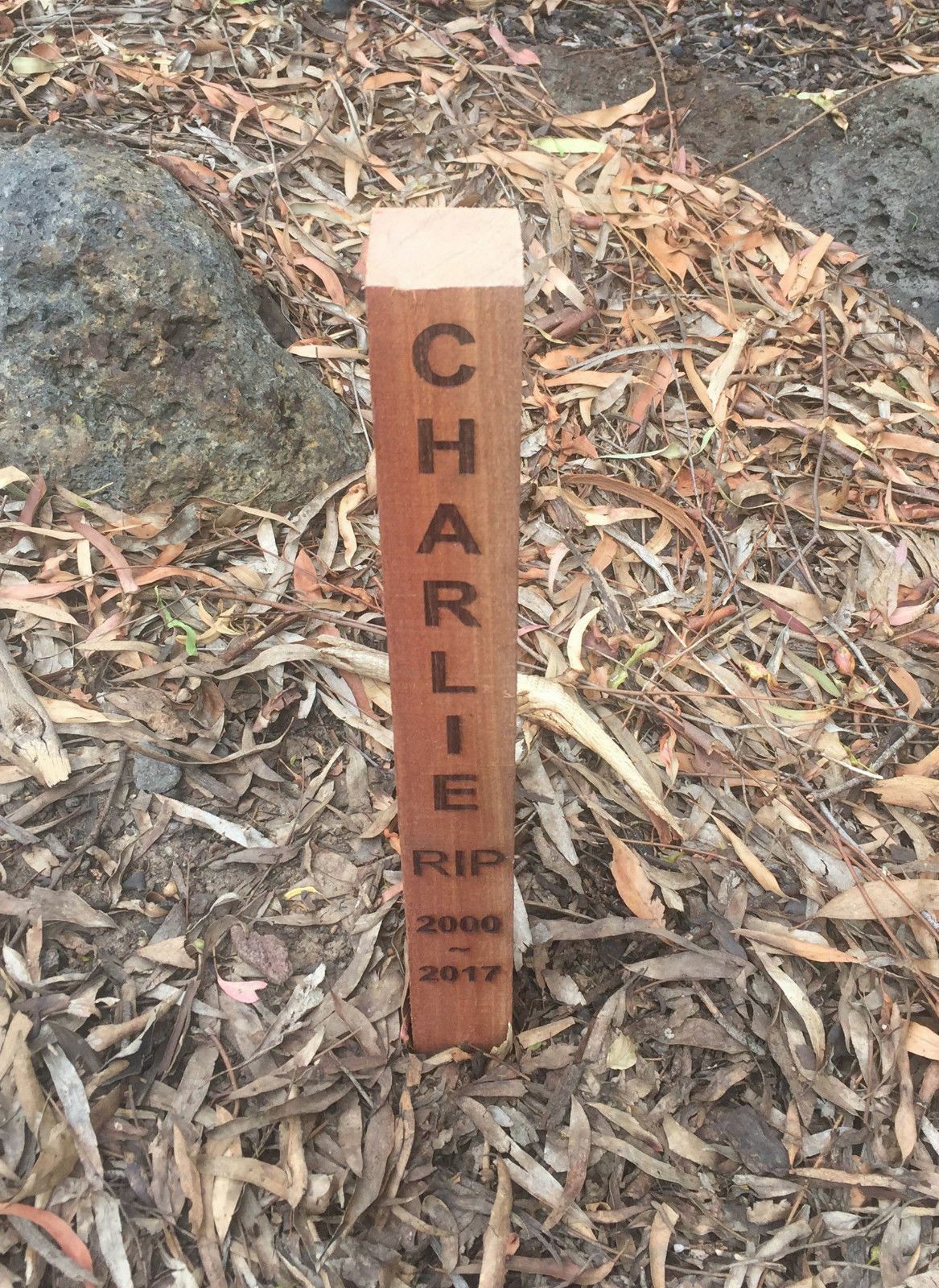Pet Memorial Garden Stake Hardwood outdoor memorial personalised engraved