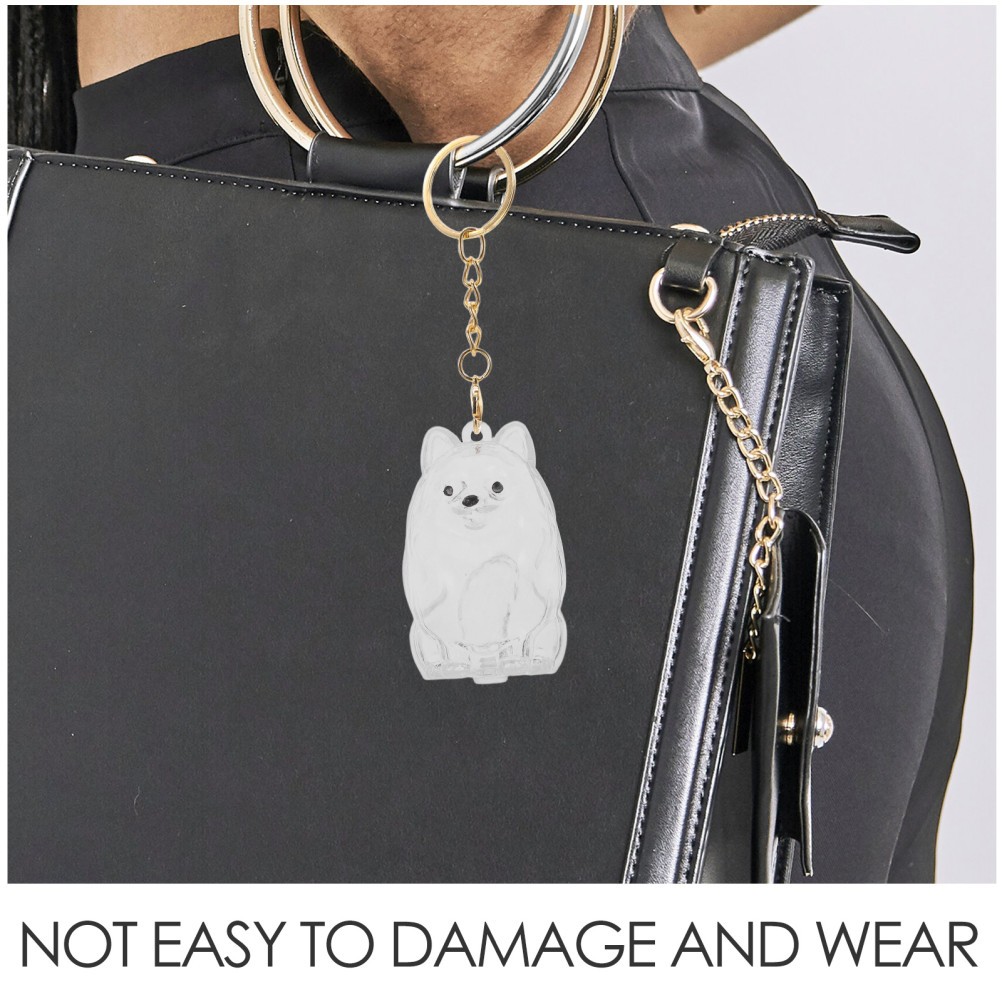 2 Pcs Transparent Dog Keepsake Box Portable Pet Hair Keychain Charms Keyring