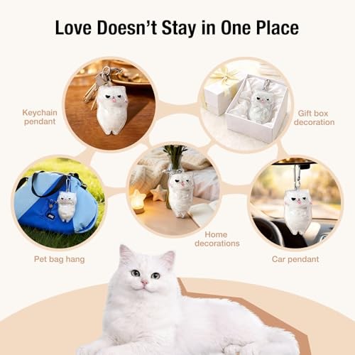 Cat Hair Keepsake Keychain, Pet Fur & Ashes Storage Pendant, Transparent Basic