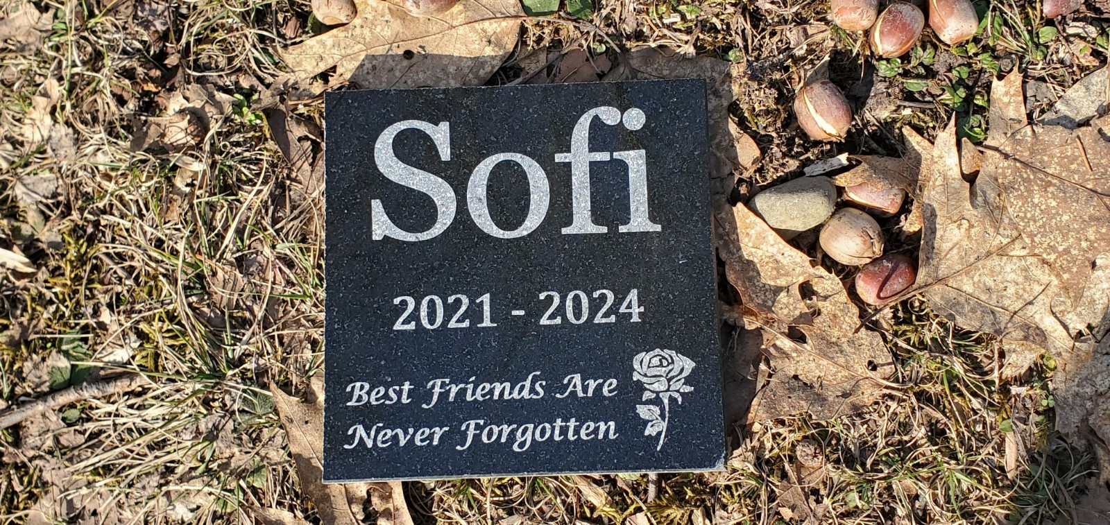 Pet Memorial Grave Marker Garden Stone Headstone 6×6 Granite Cemetary Plaque d4