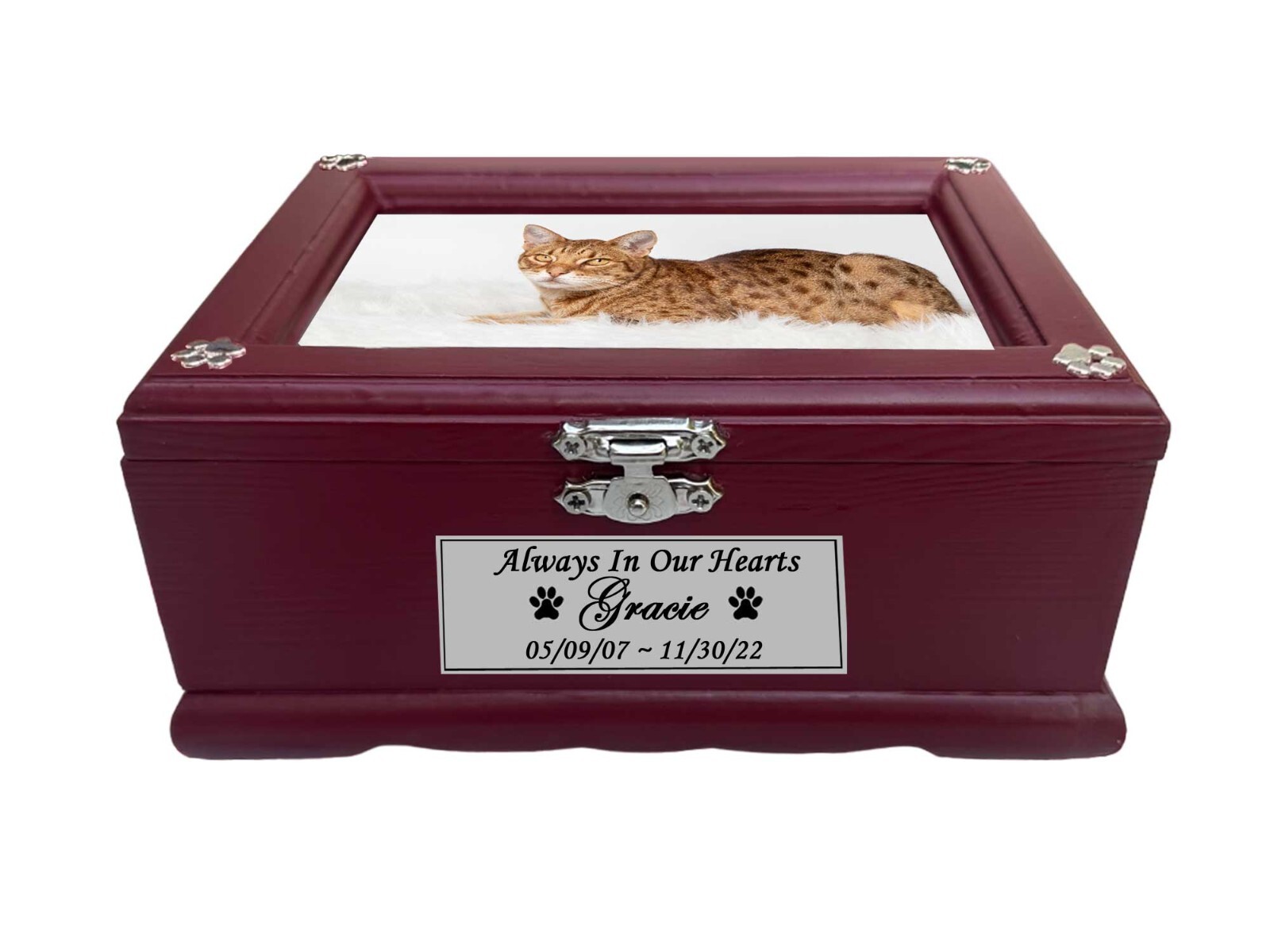 Small Pet Urn For Dogs or Cats, Picture Pet Urn, Engraved Pet Name Plate,