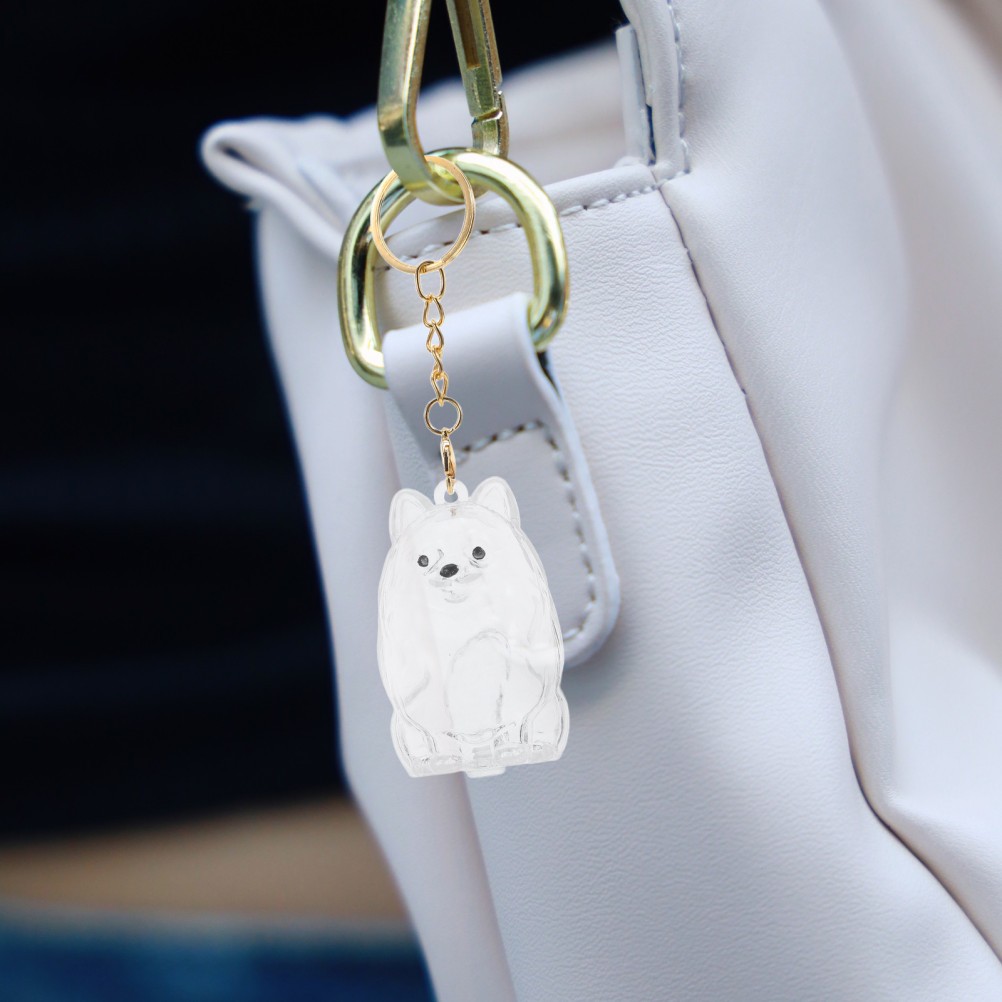 2 Pcs Dog Memorial Keychain Clear Plastic Pet Hair Collector Keyring Charms
