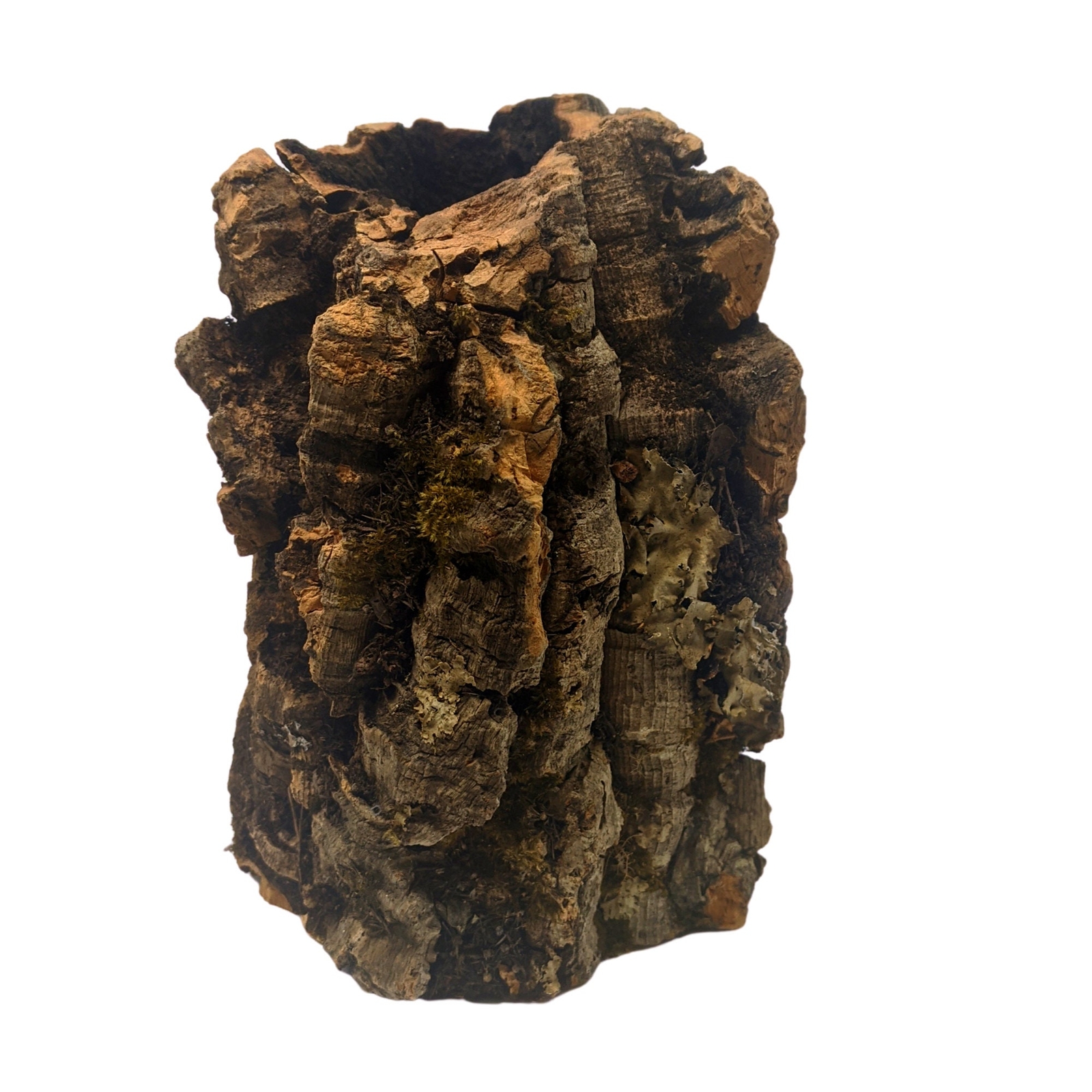 Large Round Virgin Cork Bark – for Orchids, Airplants, Reptiles, and Terrariums