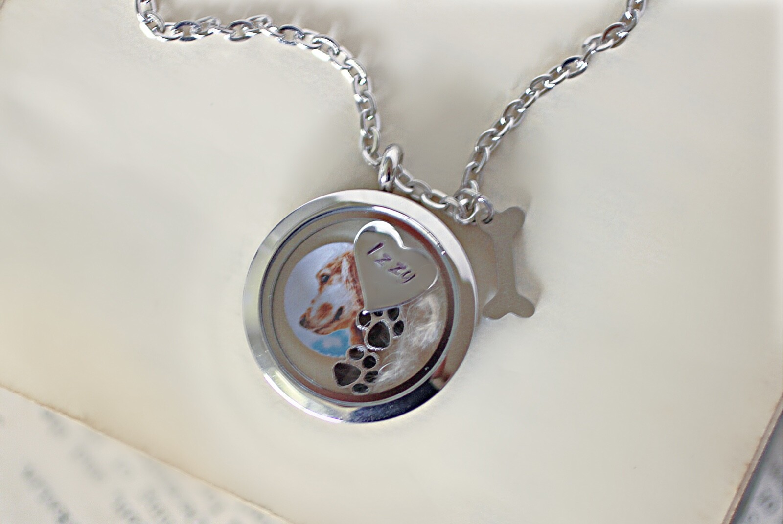 Personalised Dog Keepsake, Dog Fur Locket, Memorial Gift, Paw Print Jewellery