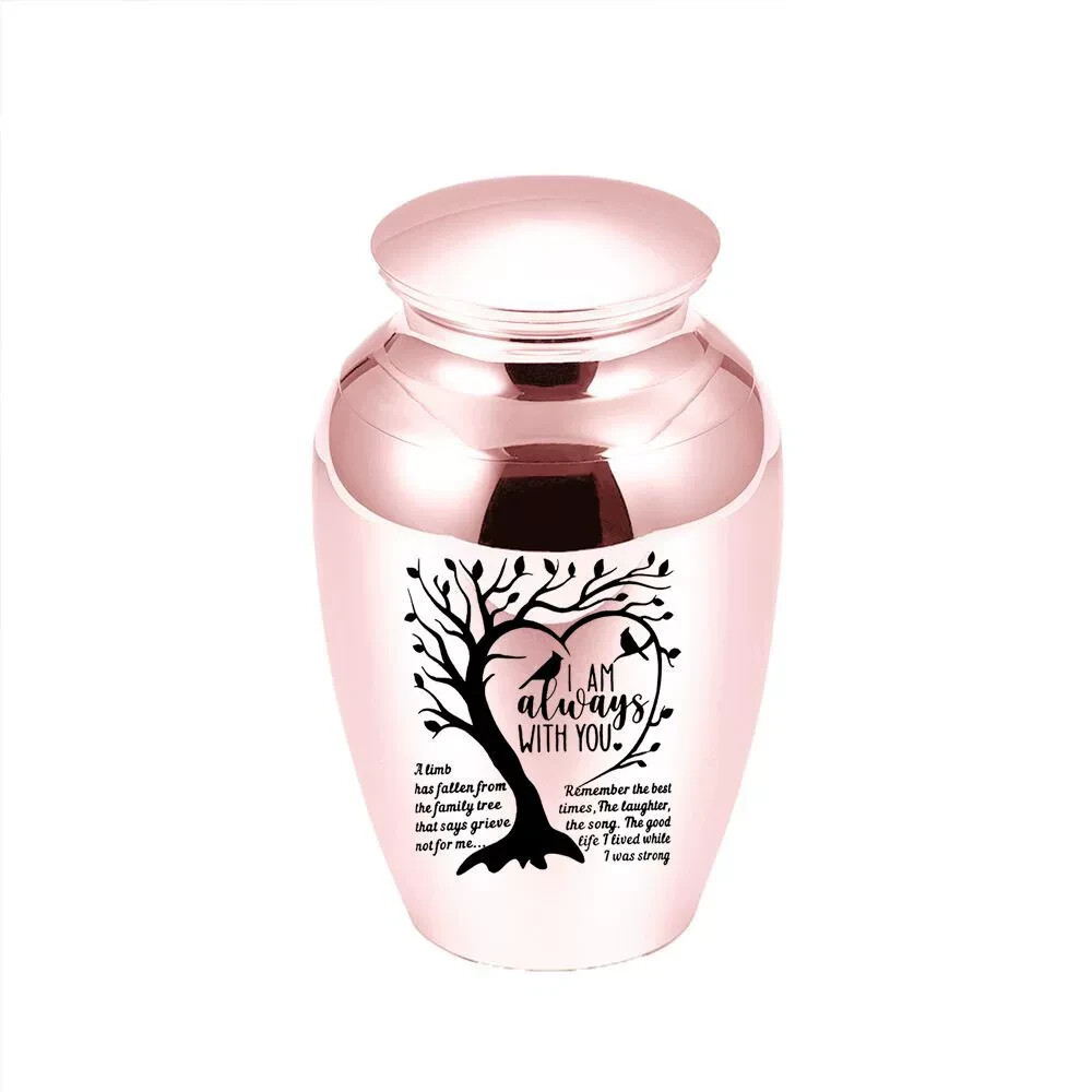 Small Cremation Urn Jar Holder Keepsake for Human Pet Ashes Memorial Funeral Box