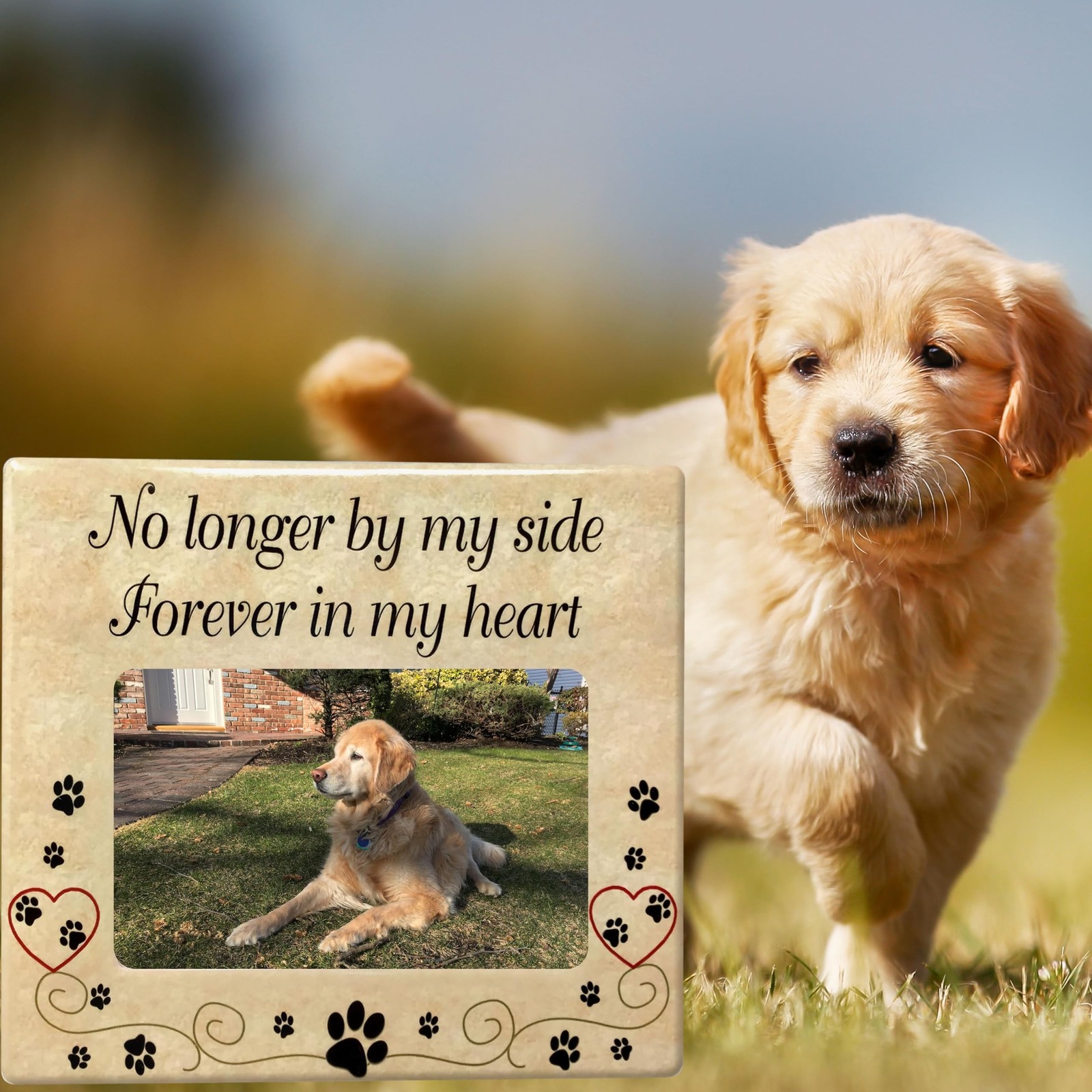 Pet Memorial Picture Frame, Ceramic Pet Loss Gift with Sympathy Quote “No