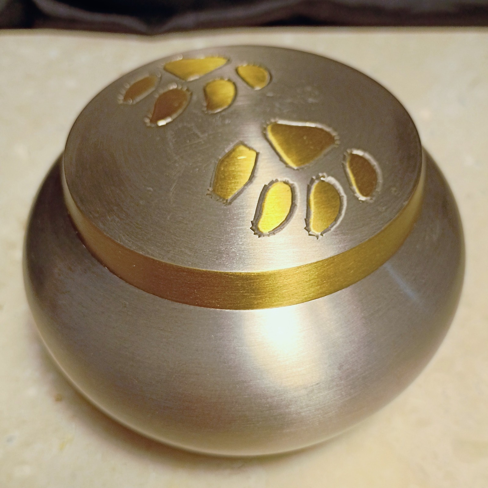 Steel & Brass Pawprint Design Pet Ashes Urn – Small, Heavy, Secure, Beautiful