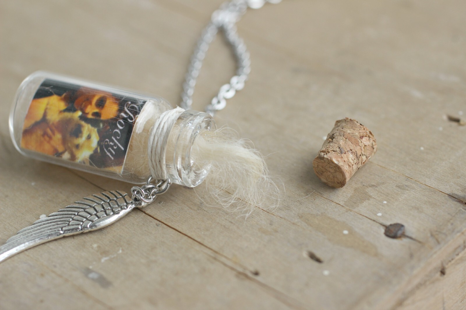 Pet Fur Bottle Pendant, Pet Memorial Gifts, Pet Hair Keepsake, Urn Necklace