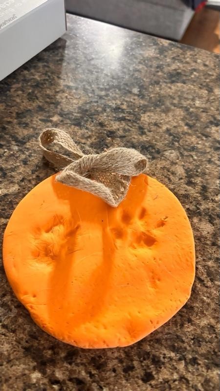 Pawprint Ornament Kit Pearhead Pet DIY Pawprints Keepsake Dogs Or Cats