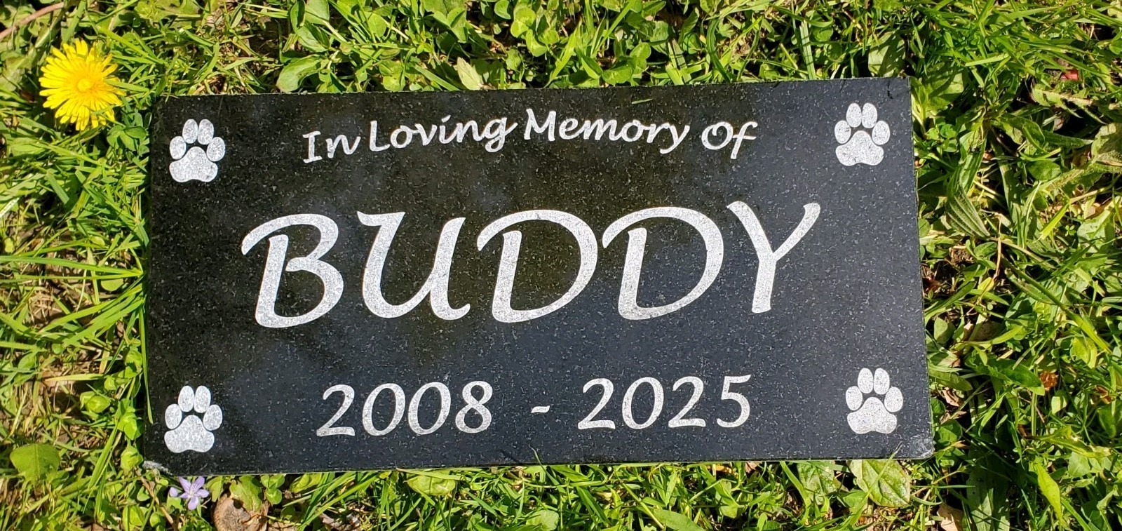 Pet Memorial Grave Marker Headstone Garden Plaque Dog Granite Cemetary Stone t12