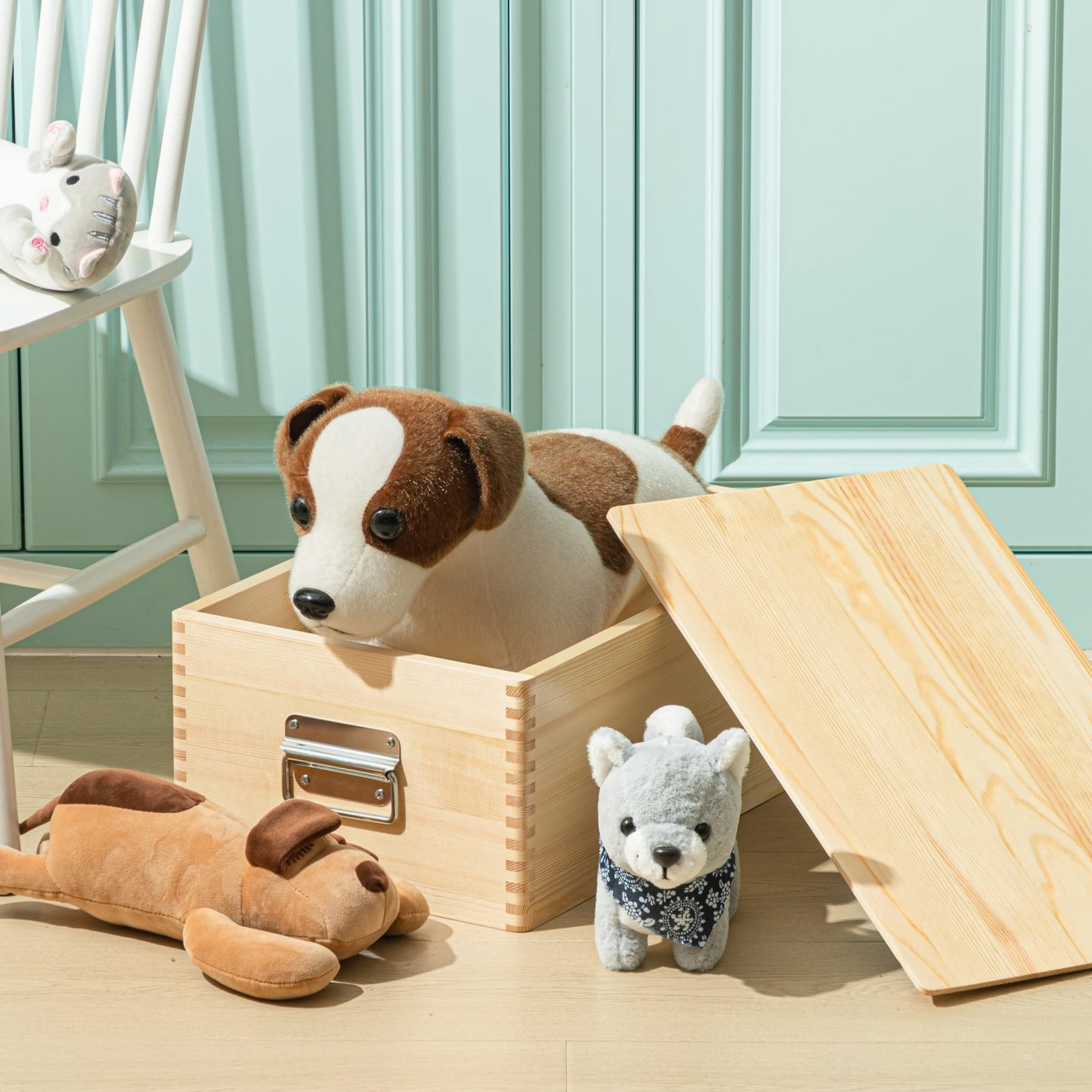 Pet Casket for Dogs and Cats, Wooden Burial Pet Loss Coffin Furry Loss Gift f…