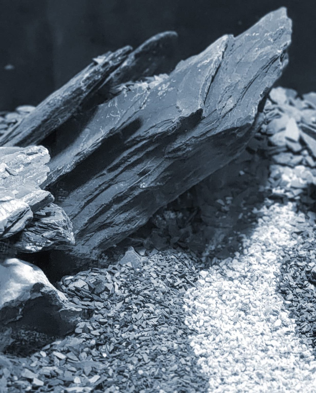 Natural Slate Stone 5 to 7 Inches – USA Sourced and Packaged for Aquascaping …