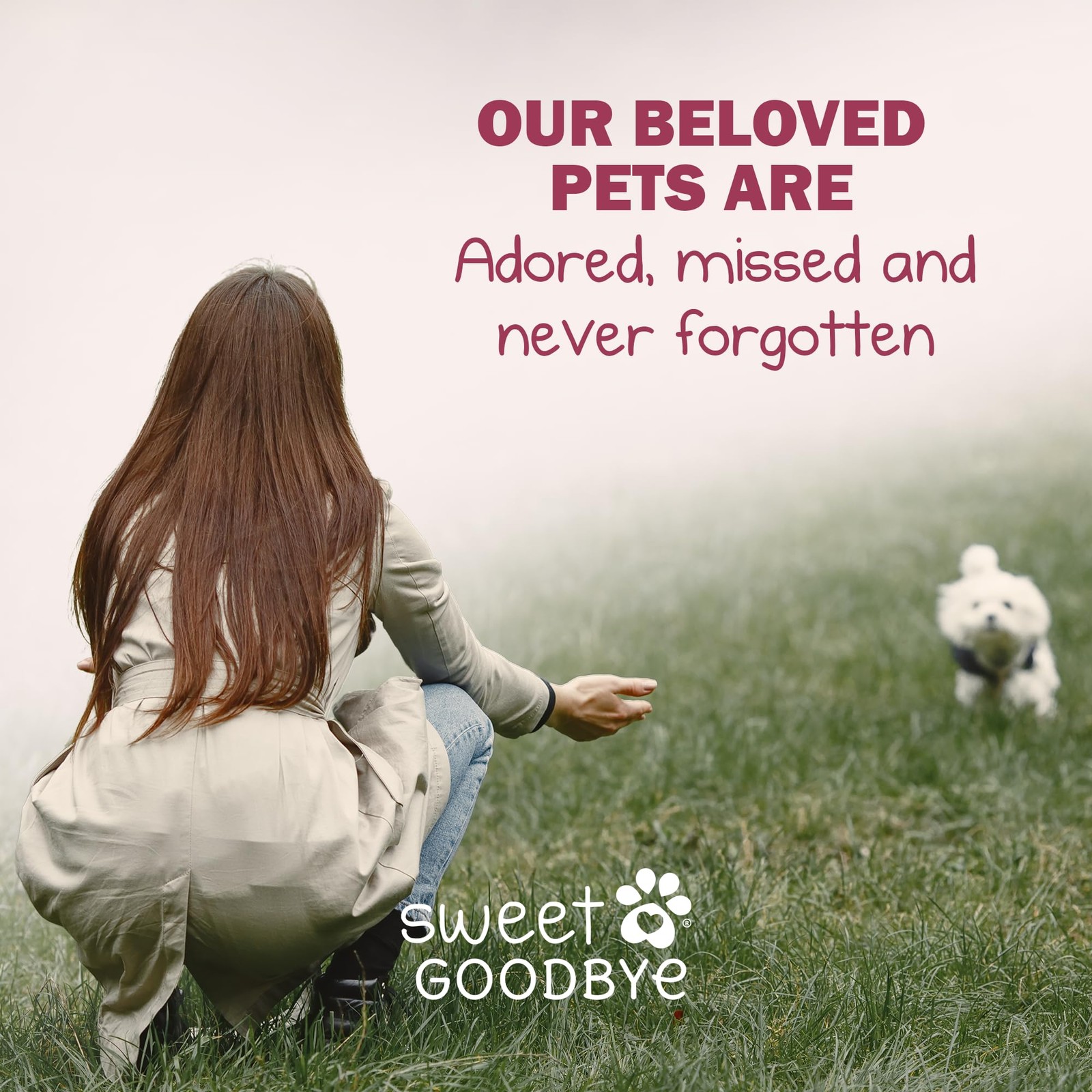 Sweet Goodbye Cloud® Eco-Friendly Pet Burial & Cremation Ceremony Kit – Casket