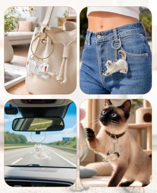 4 PCS Cat Hair Memorial Keepsake – Pet Fur Keychain Collecting Hair for Pet
