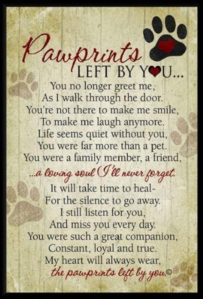 Pawprints Left By You Pet Memorial Plaque – Remembrance Offering For Grieving
