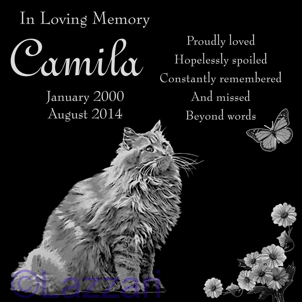 Personalized Longhair Cat Pet Memorial 12″ Granite Grave Marker Stone Headstone