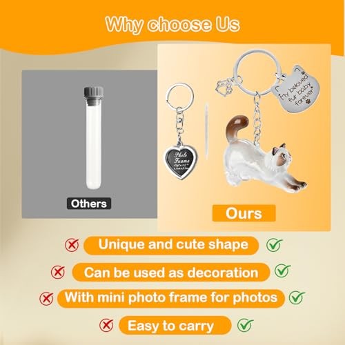Cat Hair Storage & Photo Frame Keychain – 1 Set – Ragdoll Cat Fur Keychain