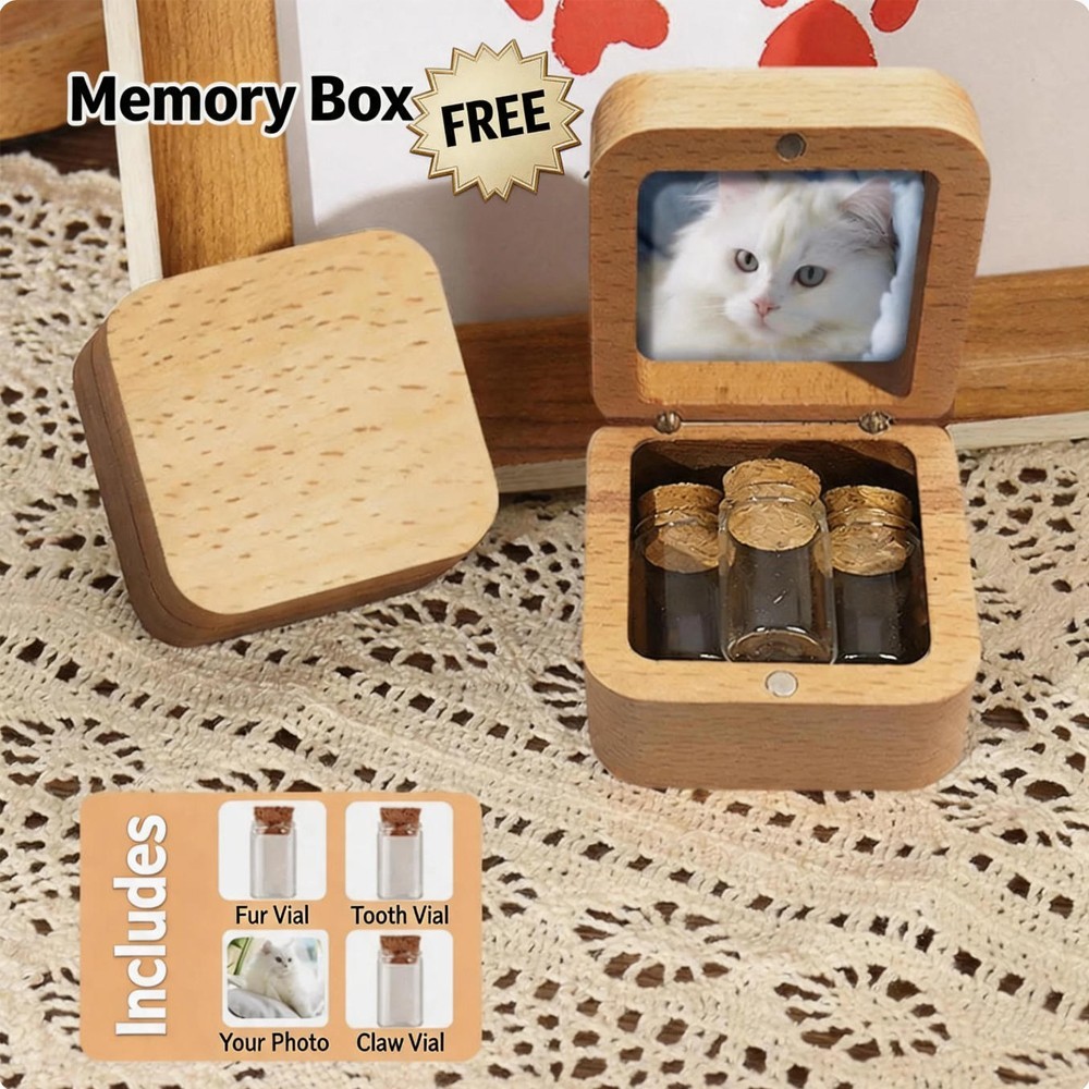 Custom 3D Pet Portrait | 6-Layer Hand-Painted Acrylic | Memorial Set+Memory Box