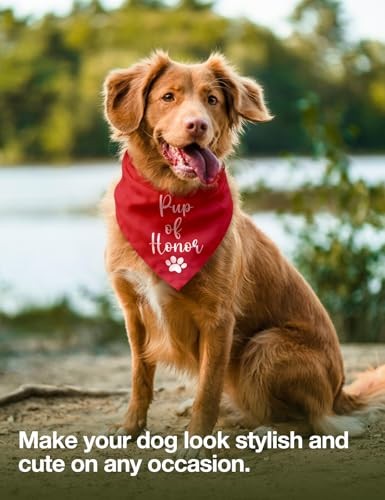 Pup of Honor Dog Bandana, Dog Wedding Bandana Pet Scarf Red Pup of Honor