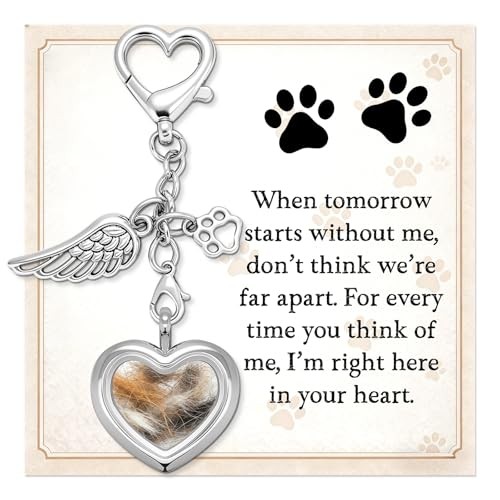 Dog Memorial Gift for Loss of Dog – Pet Hair Keepsake with Angel Wing Charm