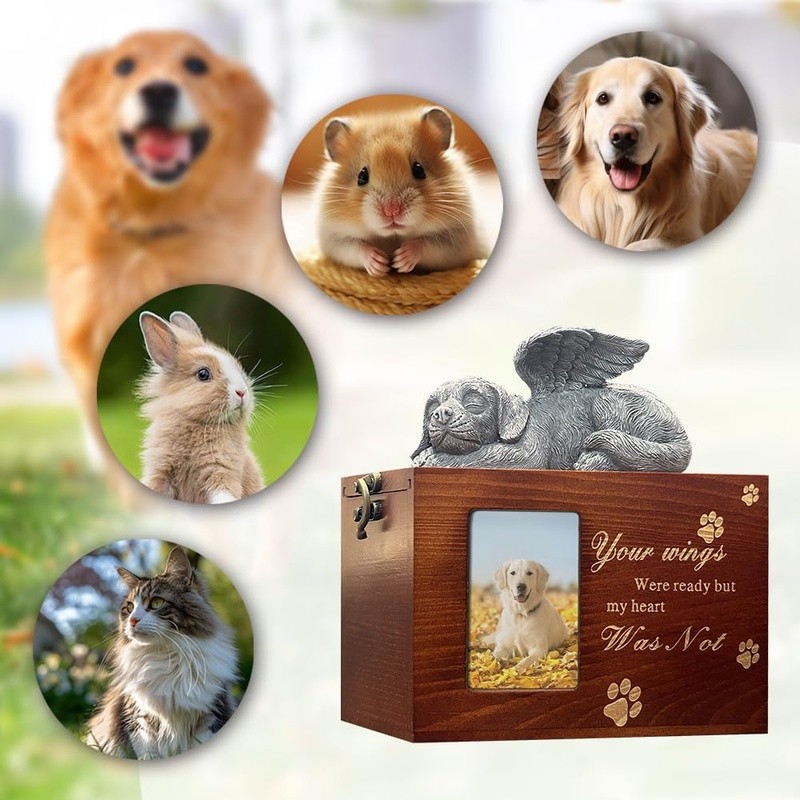Wooden Pet Ashes Urn Memorial Keepsake Box W/ Photo Frame Beloved Dogs New
