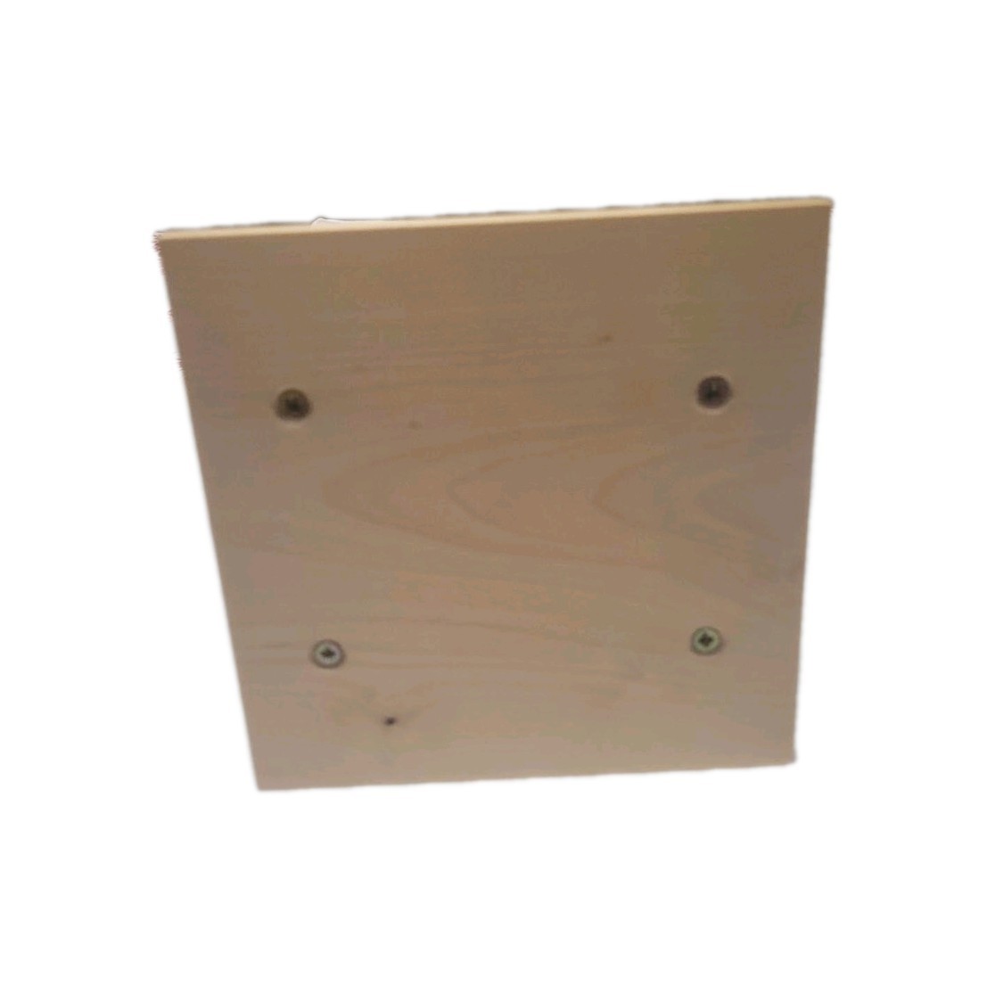 🆕️ Pet Memorial Urn for Ashes Handmade Natural Wood Keepsake Photo Box Small