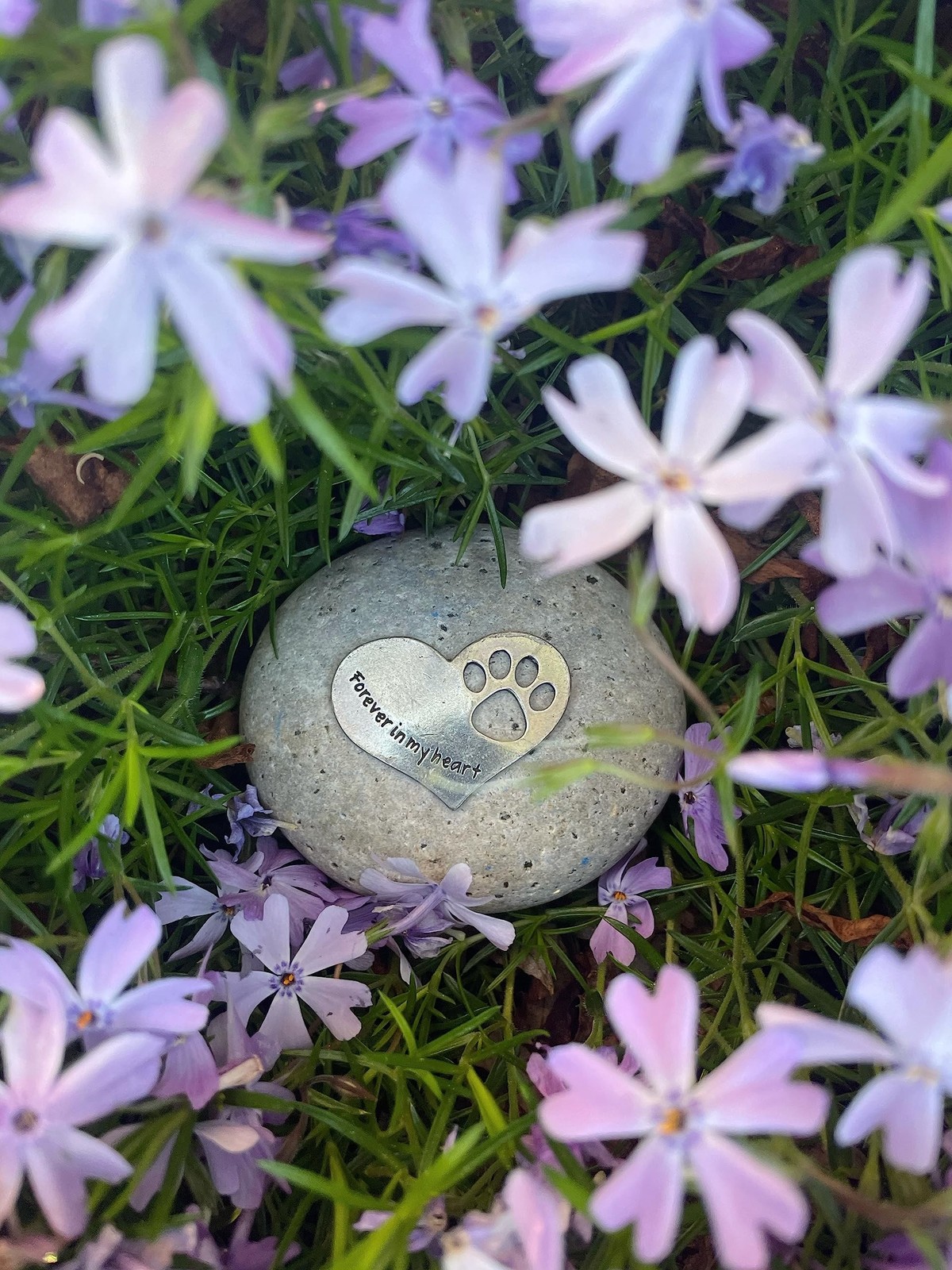 Comforting Dog Memorial Gift – Sympathy or Condolence Gift for Loss of Pet – …