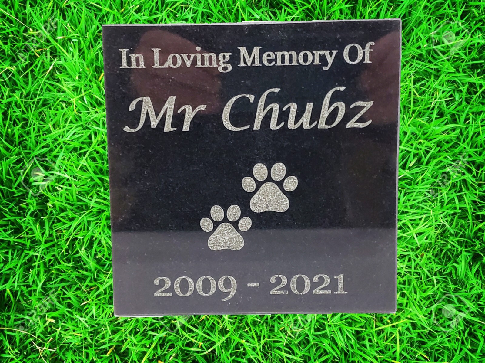 6×6 Solid black granite pet memorial grave stone marker cat dog chicken rabbit
