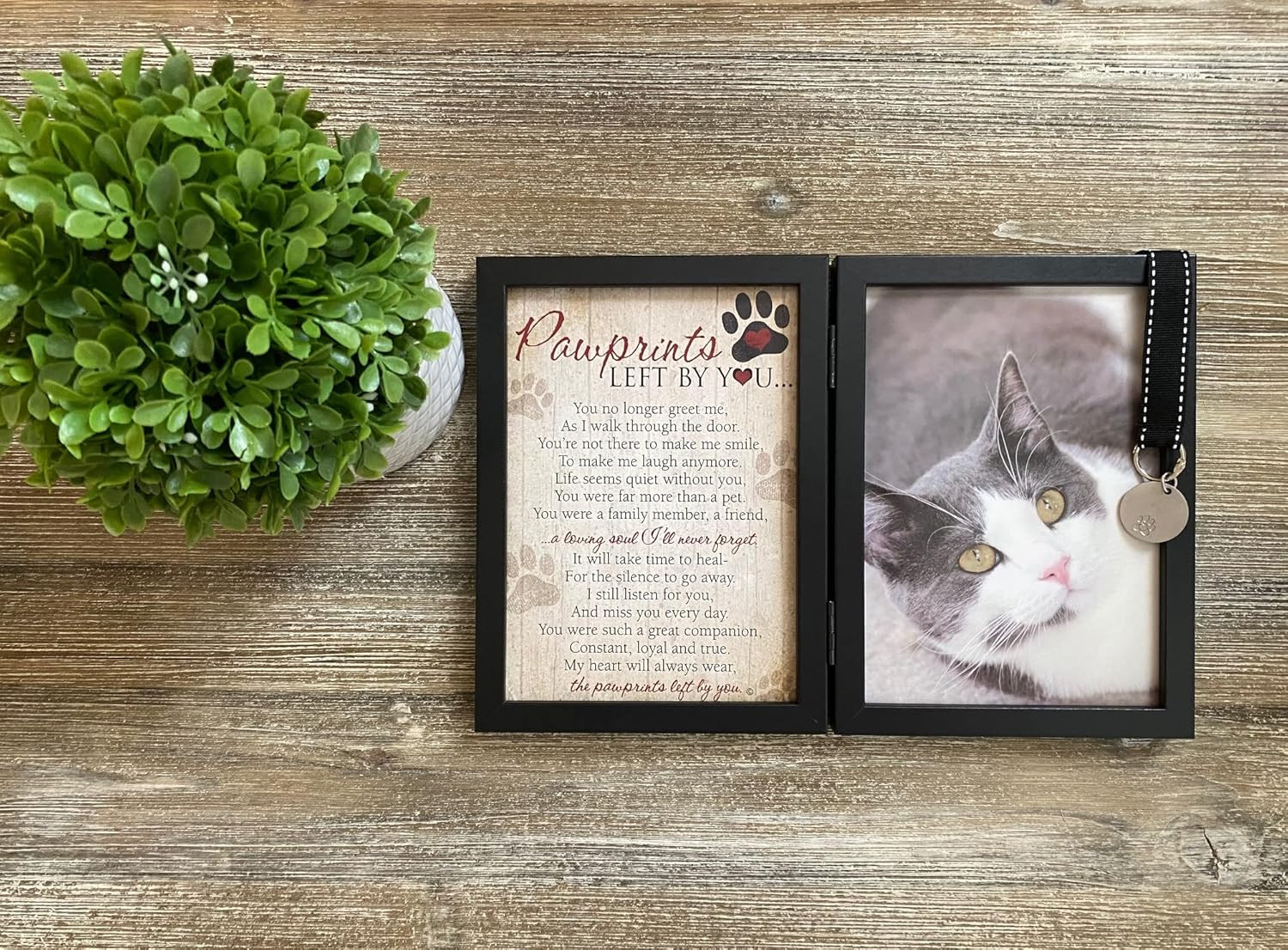 Pawprints Left by You Memorial 5X7 Frame for Cat with Pet Tag – Thoughtful Cat M