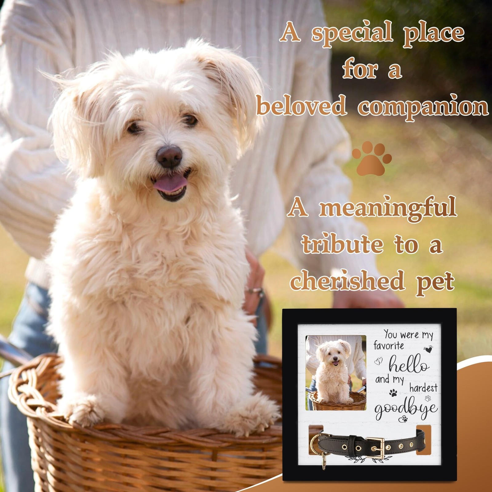 Dog Collar Memorial Frame, Pet Memorial Frame with Collar Holder, Loss of Dog…