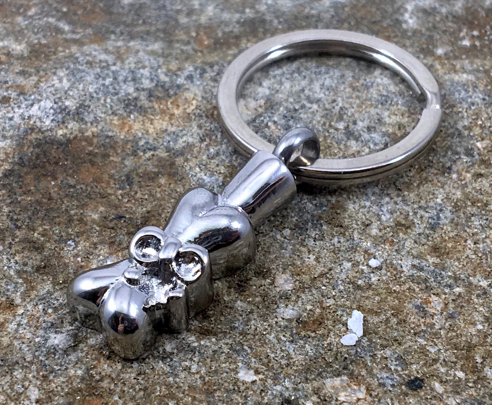 Dog Cremation Pendant Urn Keychain 1″ Key Ring for Ashes Pet Bone Silver Ribbon