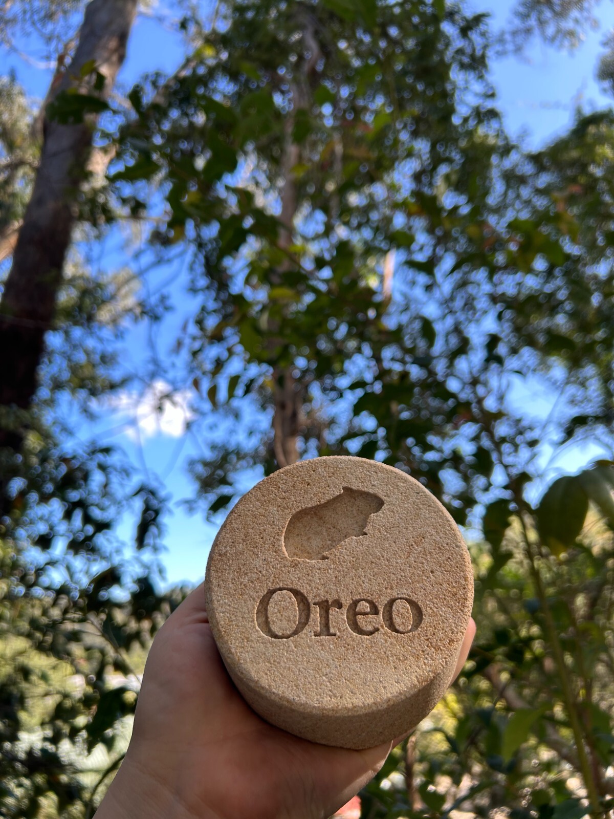 Memorial Guinea Pig Keepsake – Sandstone – Personalised