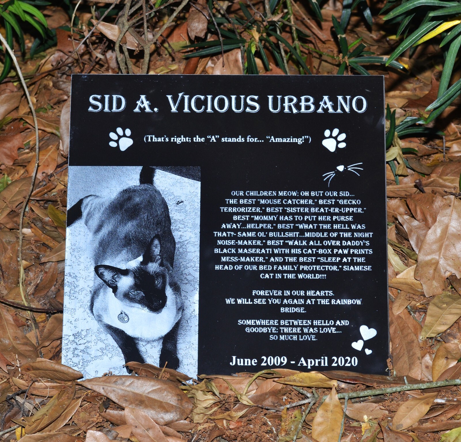8×6 Tombstone Pet Memorial Stone Gravestone Picture Grave Garden Dog Puppy