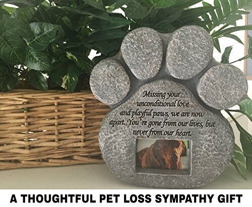 Urns Paw Print Pet Memorial Stone Gravestones Picture Grave Garden Dog Puppy New